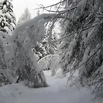 Wohlfarter *